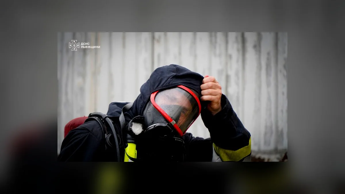 На Львівщині за добу виникло 48 пожеж, з них 37 — в екосистемах