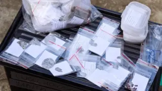 У Львові на Голосківському цвинтарі завершили ексгумацію 133 військових 1939 року